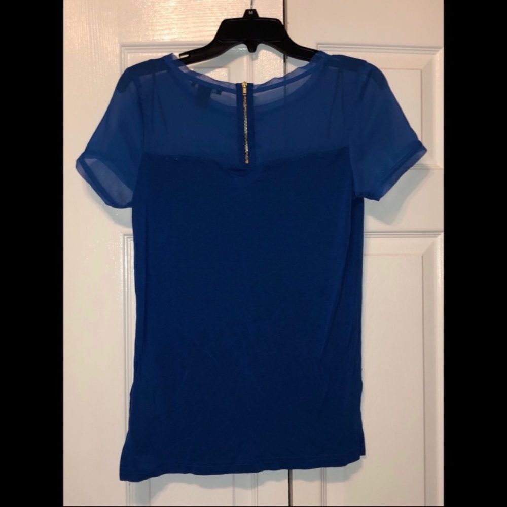 Sheer Blue Top w/ Gold Zipper on back.